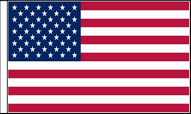 United States Hand Waving Flags